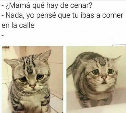 ¿mamá que hay de cenar hoy?