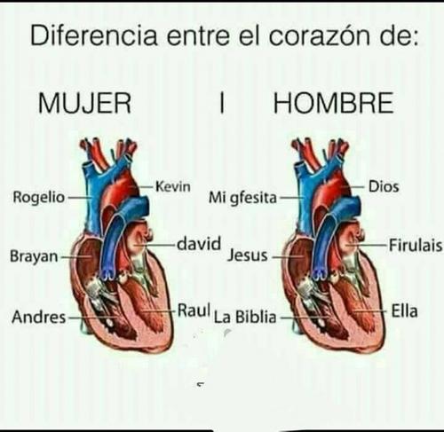 Diferencias. observen y comenten