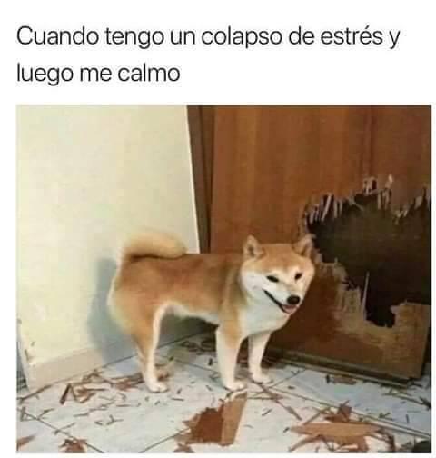 Cuando tengo un colapso