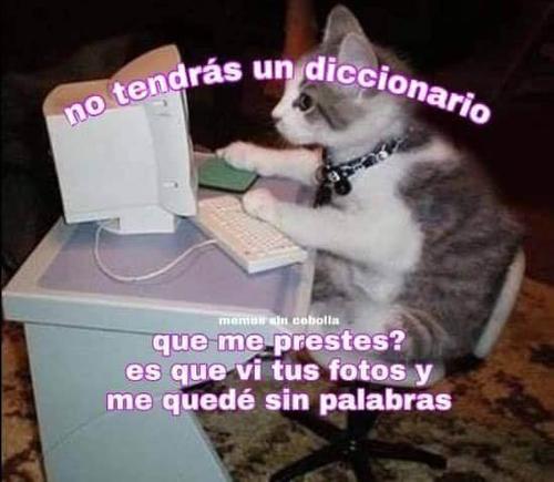 Un diccionario porfavor