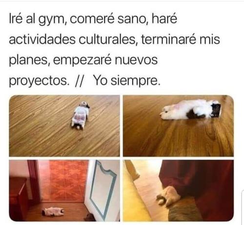 Siempre yo