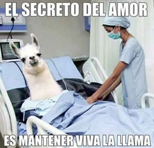 ¿quieren saber cual es el secreto del amor ?