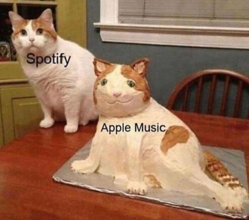 Spotify vs apple