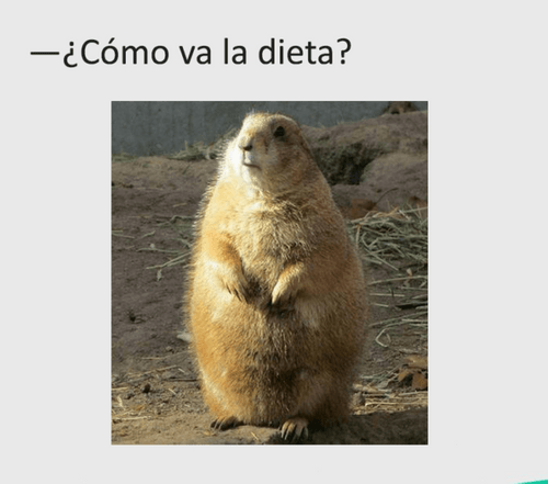 Cuando te preguntan por la dieta