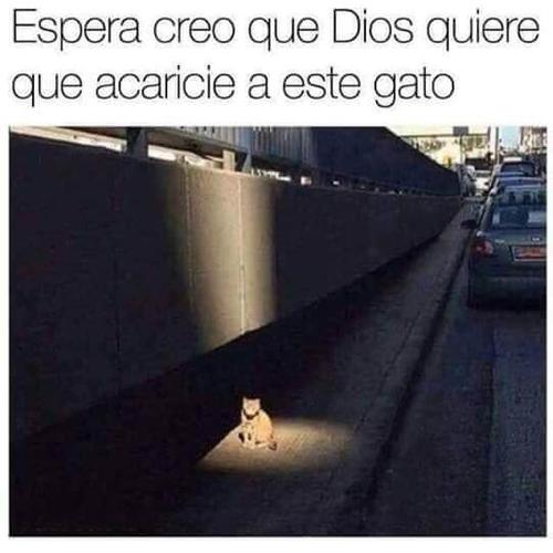 Dios manda un mensaje