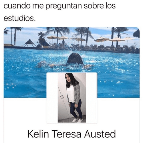 Cuando me preguntan sobre los  estudios