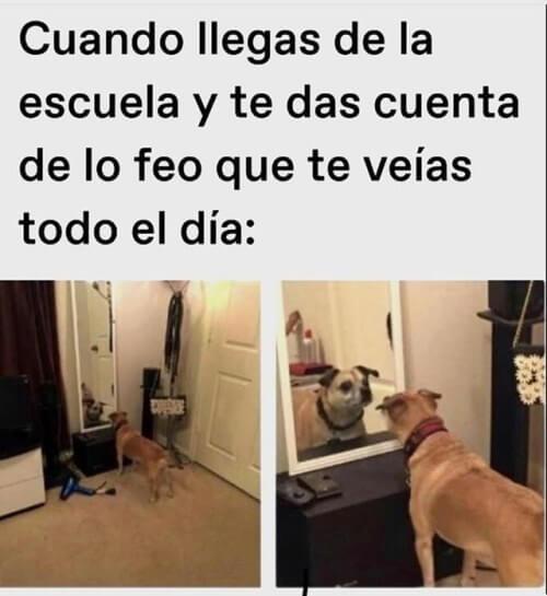 Cuando llegas a casa