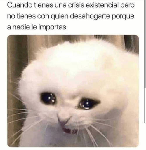 Cuando a nadie le importas