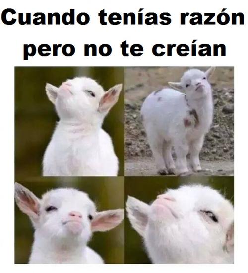 Despues de una discusión y que nadie te da la razón