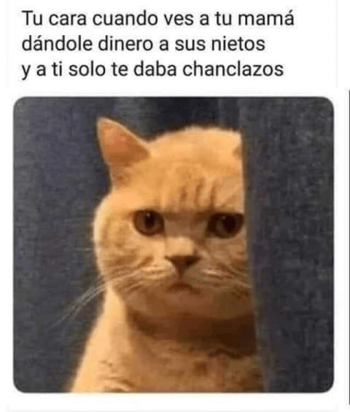 Da dinero a tus hijos