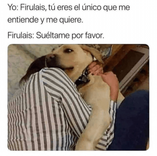 Tu eres el único firulais