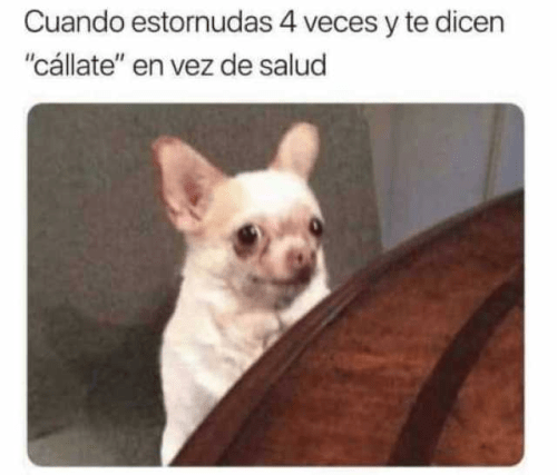 Cuando estornudas demasiado