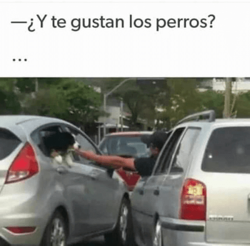 Te gustan los perros