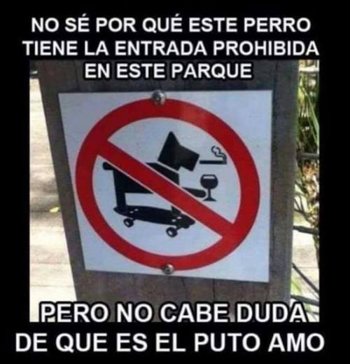 El perro que es el puto amo