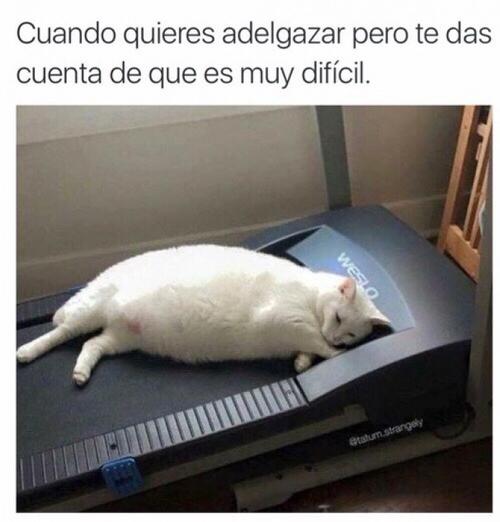 Operación bikini