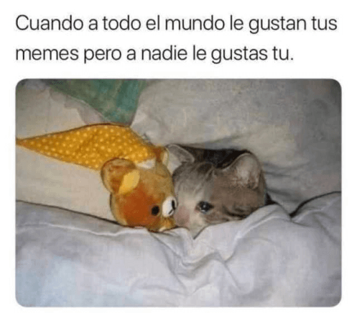 Cuando a todo el mundo le gustan tus memes