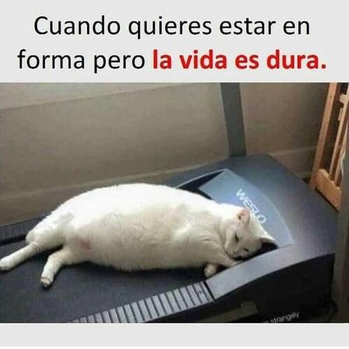 La vida es dura