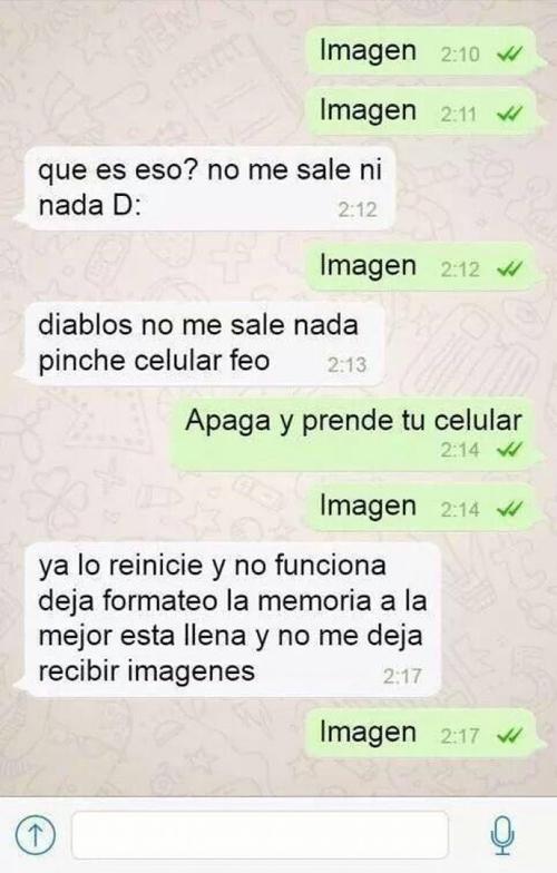 Tolear por whatsapp nivel dios