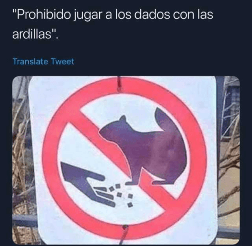 Prohibido jugar con las ardillas