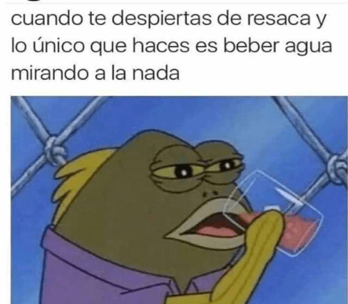 Despiertas de la resaca