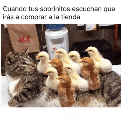 Cuando tus sobrinos te escuchan