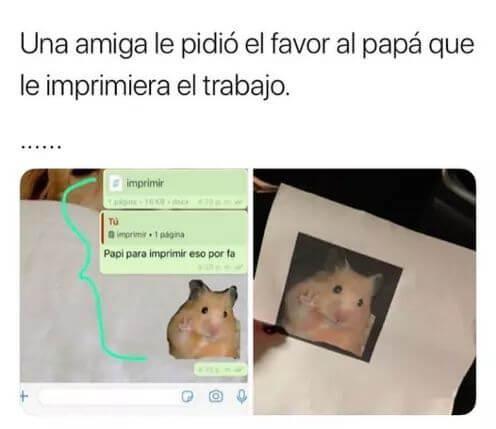 Imprimir el trabajo