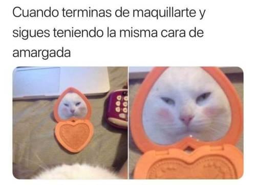 Cuando terminas