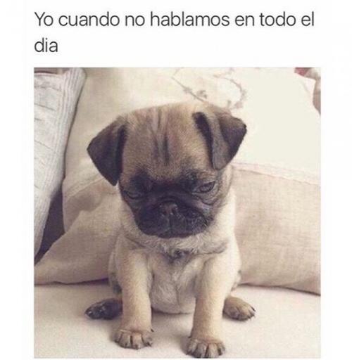 Te pones triste cuando pasa esto