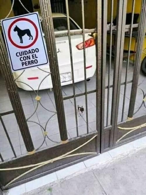 Cuidado con el perro