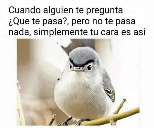 Tu cara es asi siempre