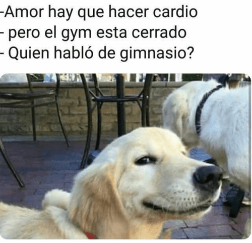 Hay que hacer cardio firulais