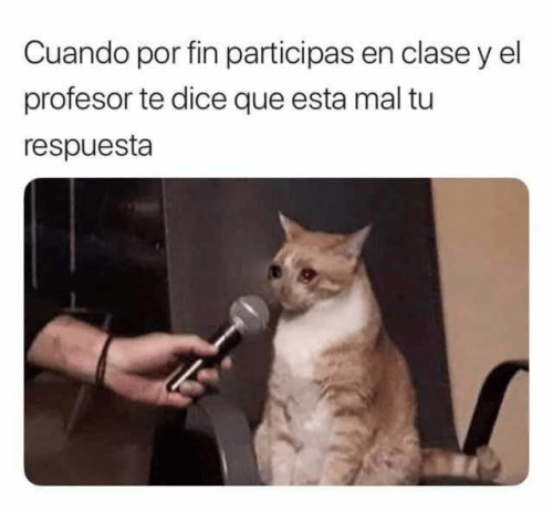 Cuando participas