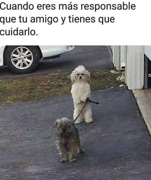 Eres mas responsable que tus amigos