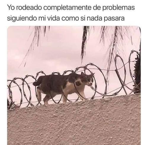 Rodeado de problemas