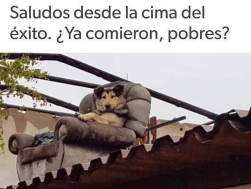 Cuando firulais gana mas que sus vecinos