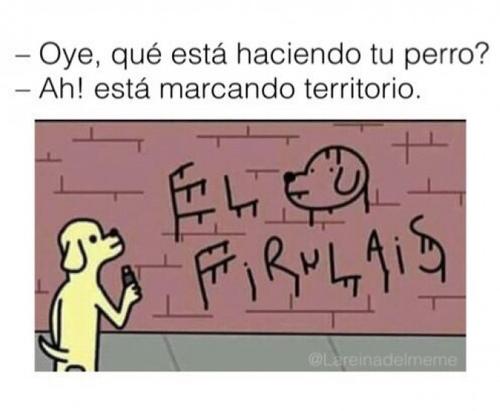 Cuando tu perro marca territorio vs firulais