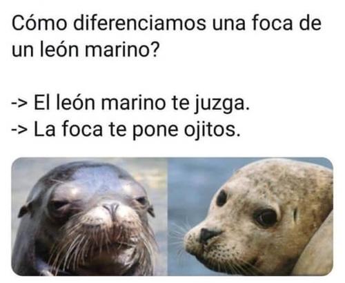 Como diferenciamos