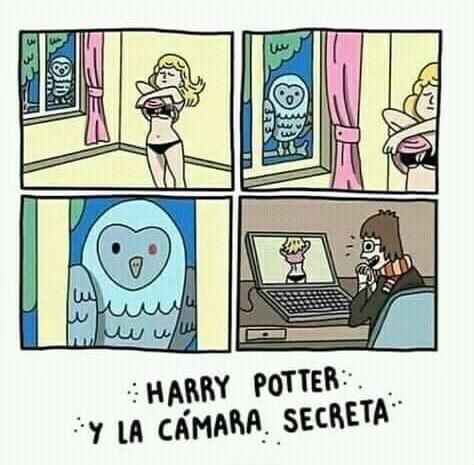 Harry potter