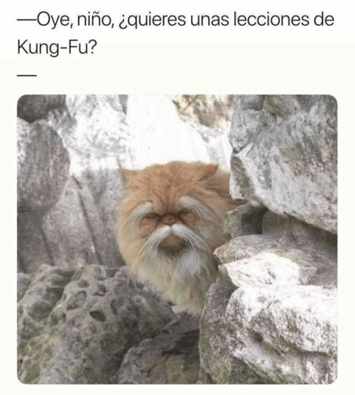 Kun-fu