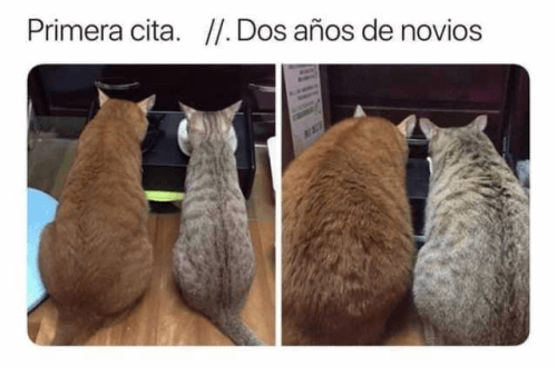 Al principio vs 2 años