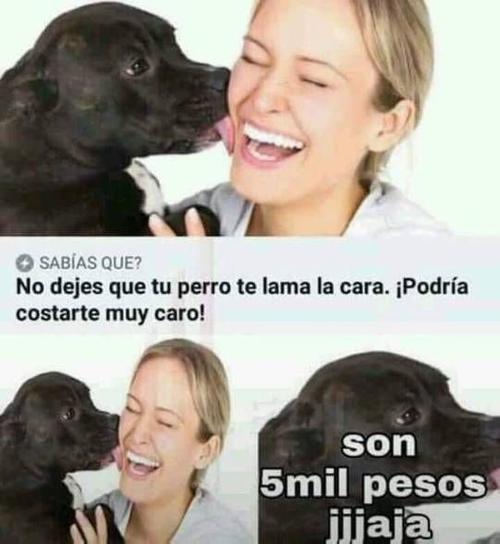 Tener mascota tiene sus riesgos