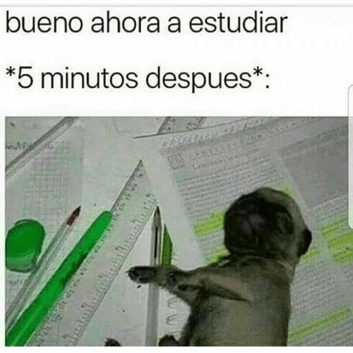 Cuando piensa en estudiar