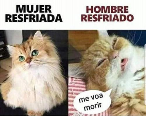 Mujer resfriada vs hombres