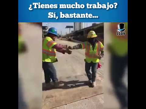 Creo que se equivocaron de trabajo